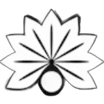 星空影院电视免费观看